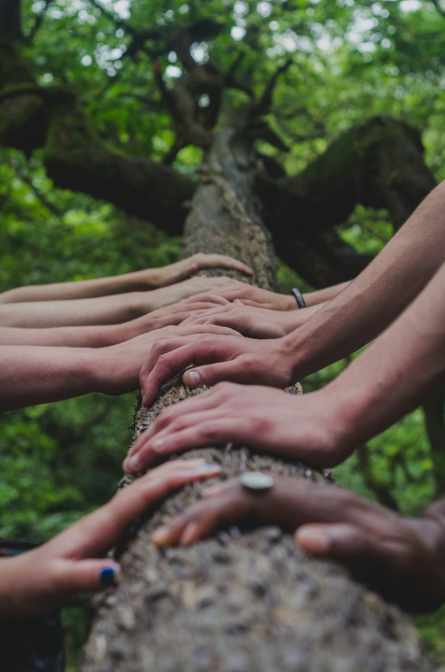 The Science Behind Strong Human Bonds